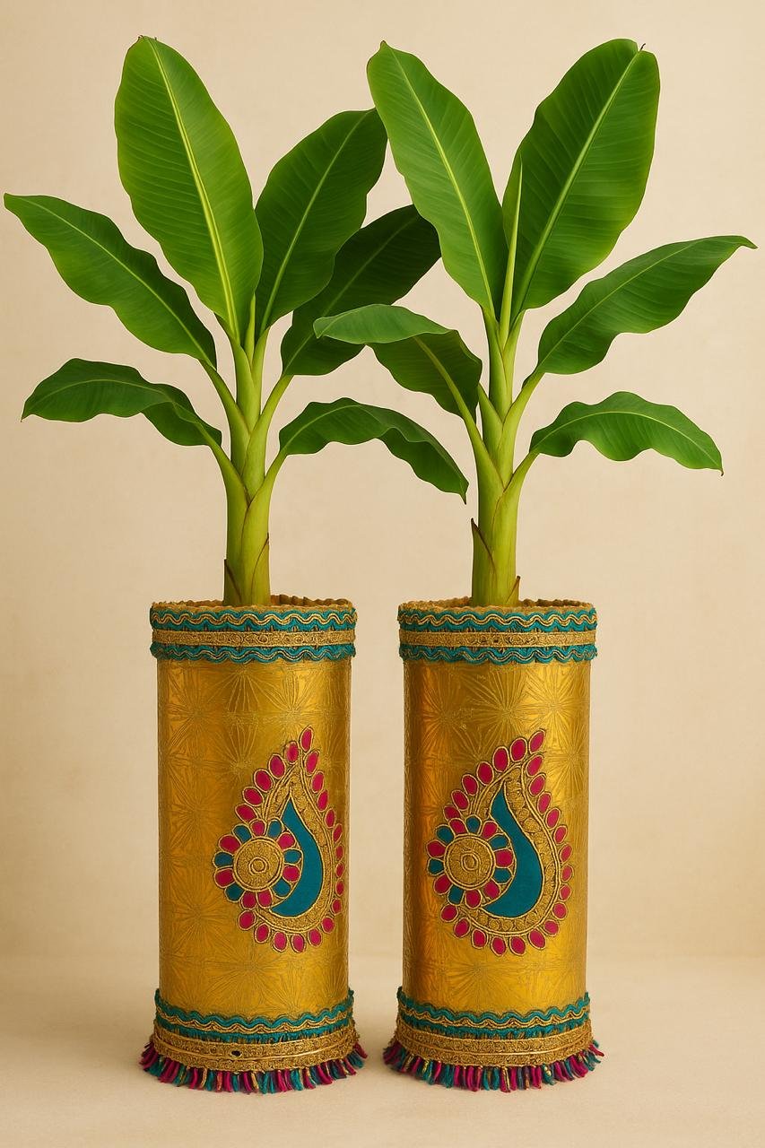 Decorative Banana Tree Stands 1feet height